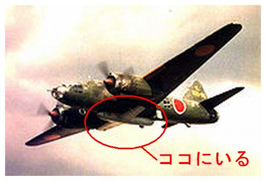 ファイル 262-1.jpg