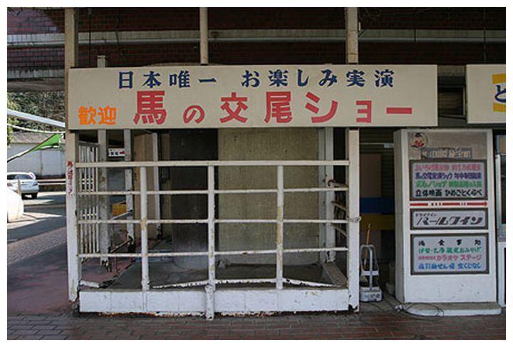 ファイル 641-1.jpg